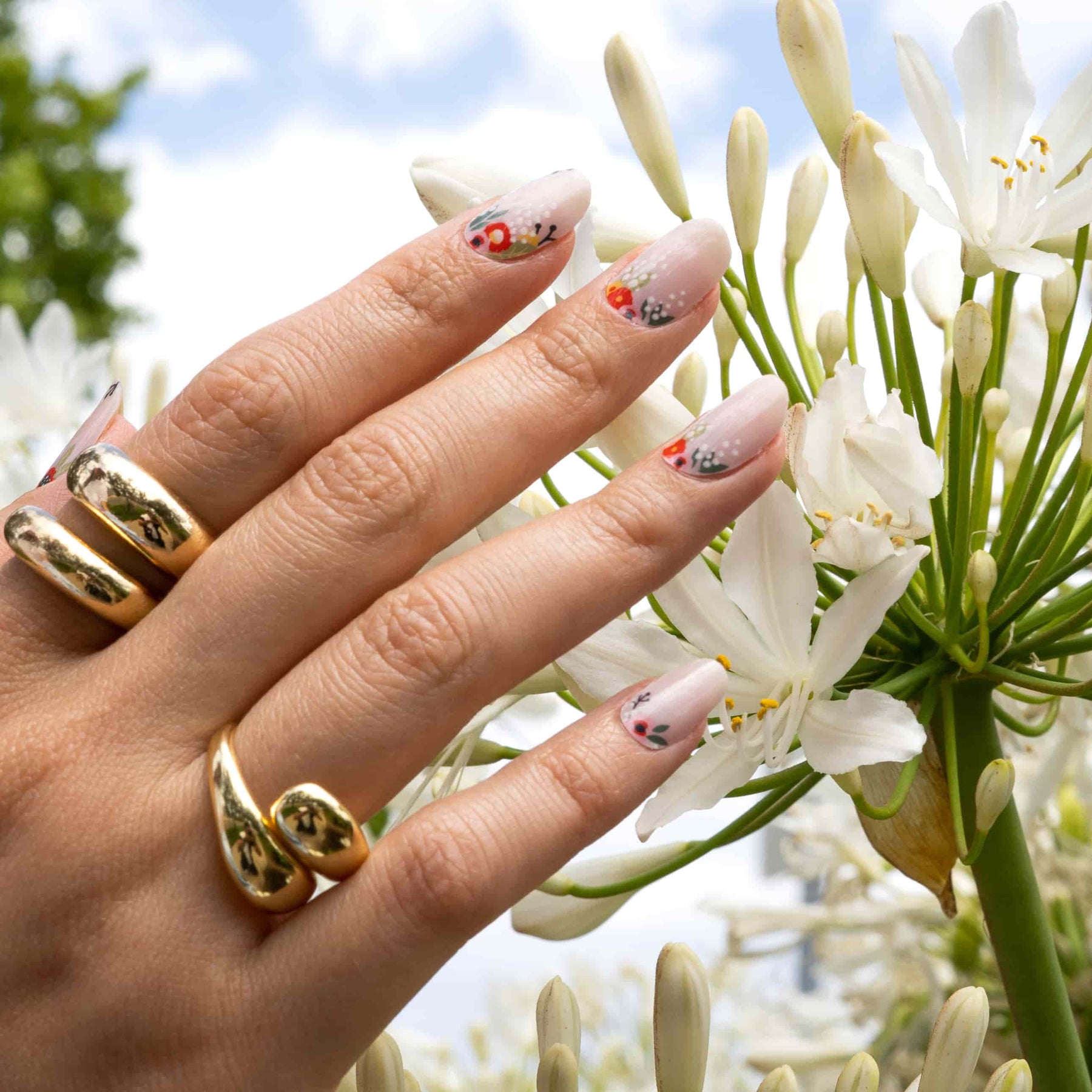 Floral Cuticles