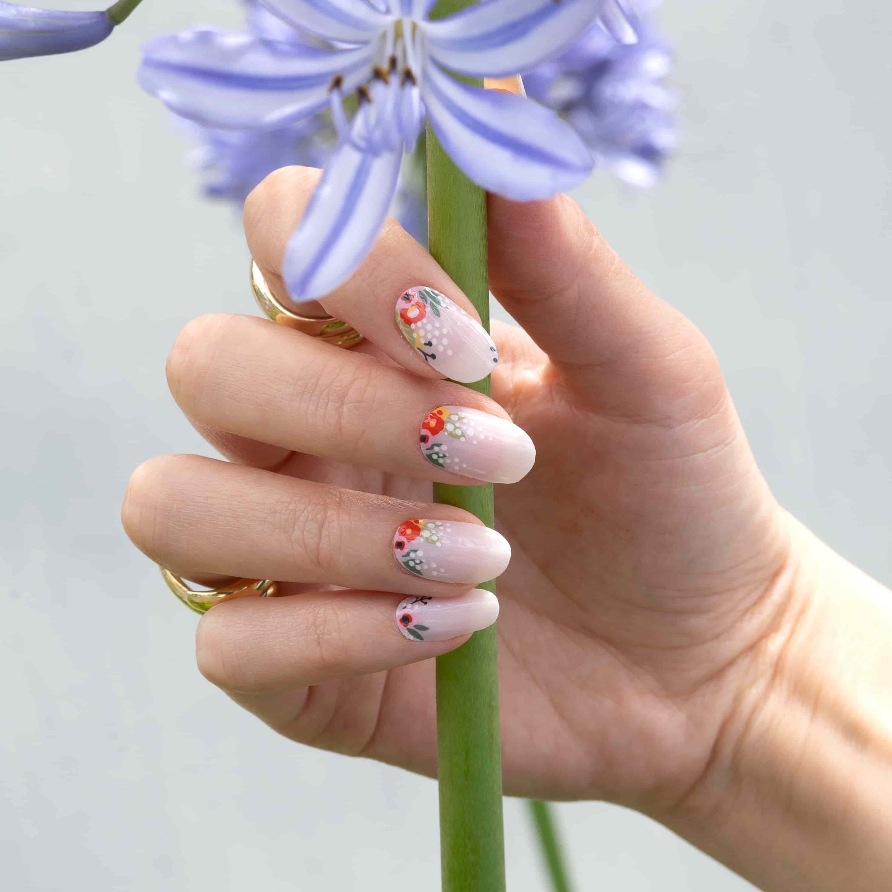 Floral Cuticles