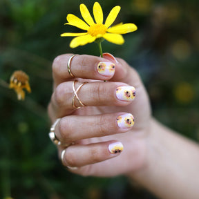 Sunflowers for Ukraine